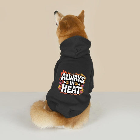 Always in Heat (Pet Hoodie)-Pet Hoodie-Swish Embassy