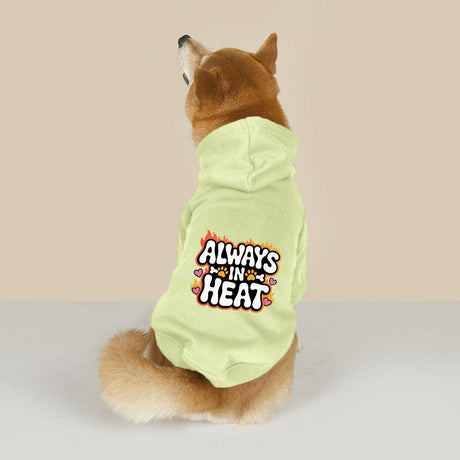 Always in Heat (Pet Hoodie)-Pet Hoodie-Swish Embassy