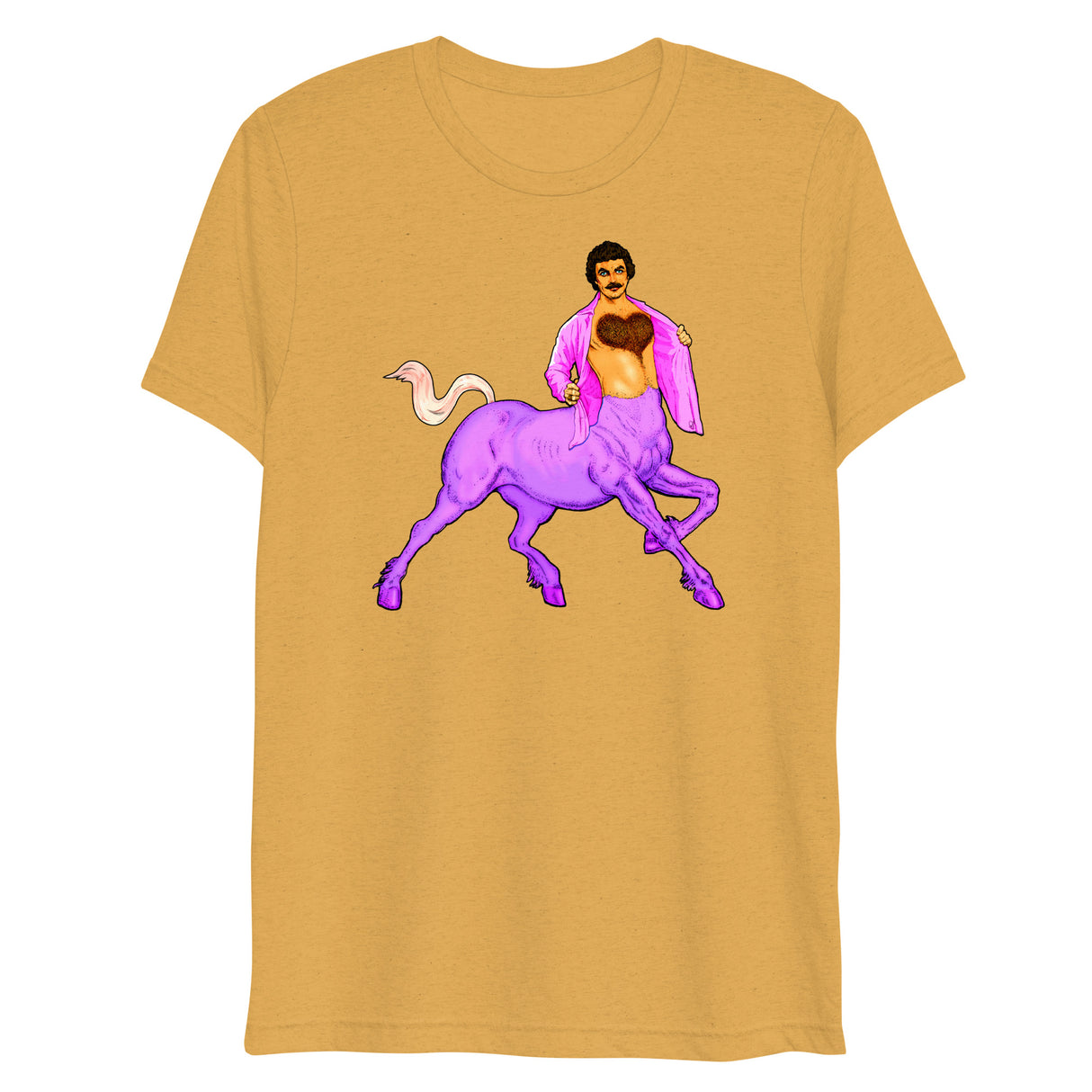 Centaur of Attention (Triblend)-Triblend T-Shirt-Swish Embassy