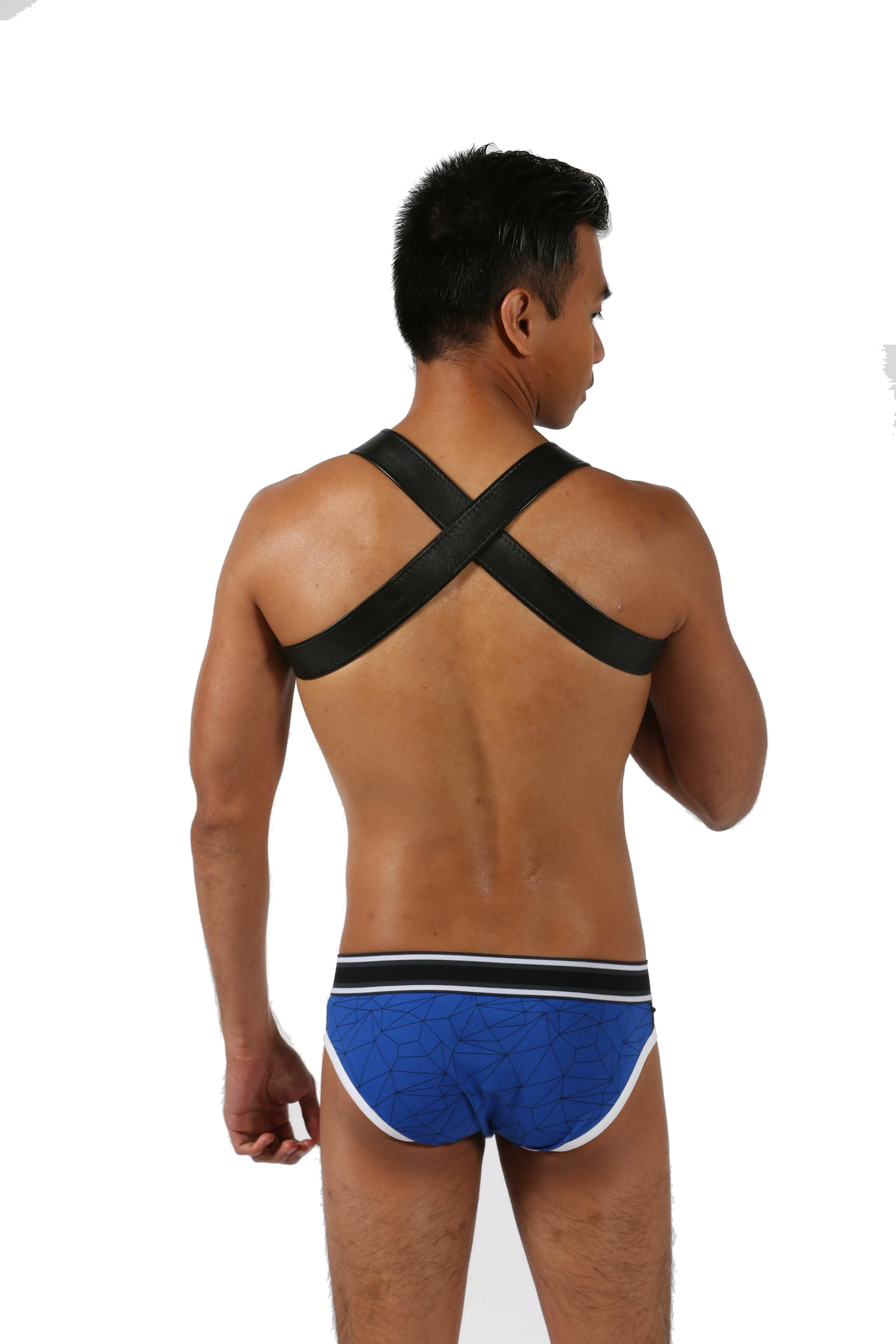 Manchester (Harness)-Leather-Swish Embassy