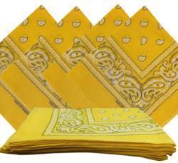 Paisley Hanky Code Bandana-Swish Embassy