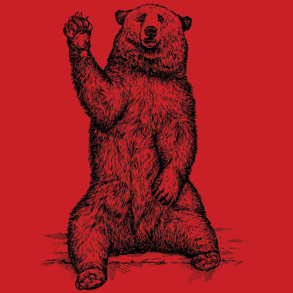 Friendly Bear-T-Shirts-Swish Embassy