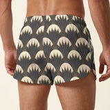 Art Deco (Little Shorts)