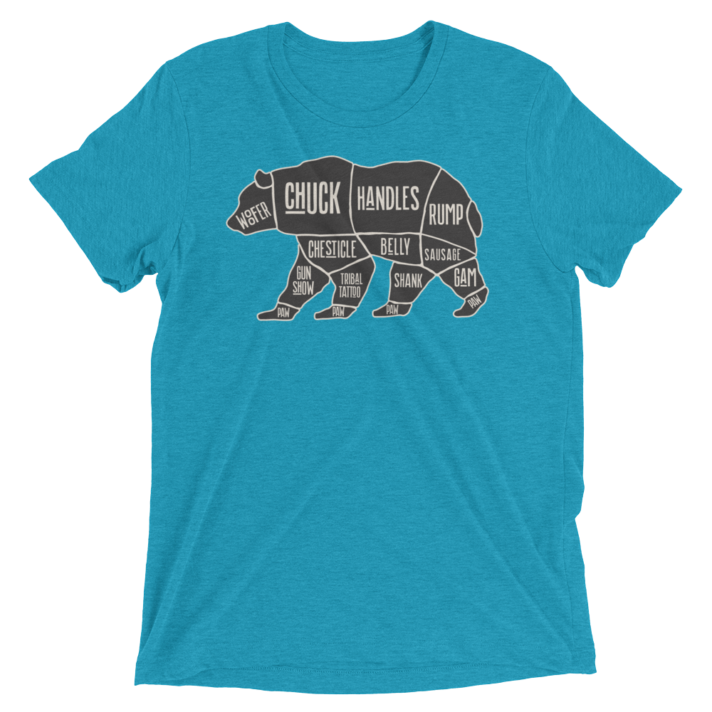 Bear's Anatomy (Triblend)-Triblend T-Shirt-Swish Embassy