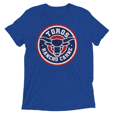 Brr It's Cold in Here (Triblend)-Triblend T-Shirt-Swish Embassy