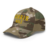 Harris Walz (Flexfit Hat)-Headwear-Swish Embassy