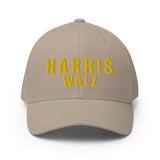 Harris Walz (Flexfit Hat)-Headwear-Swish Embassy