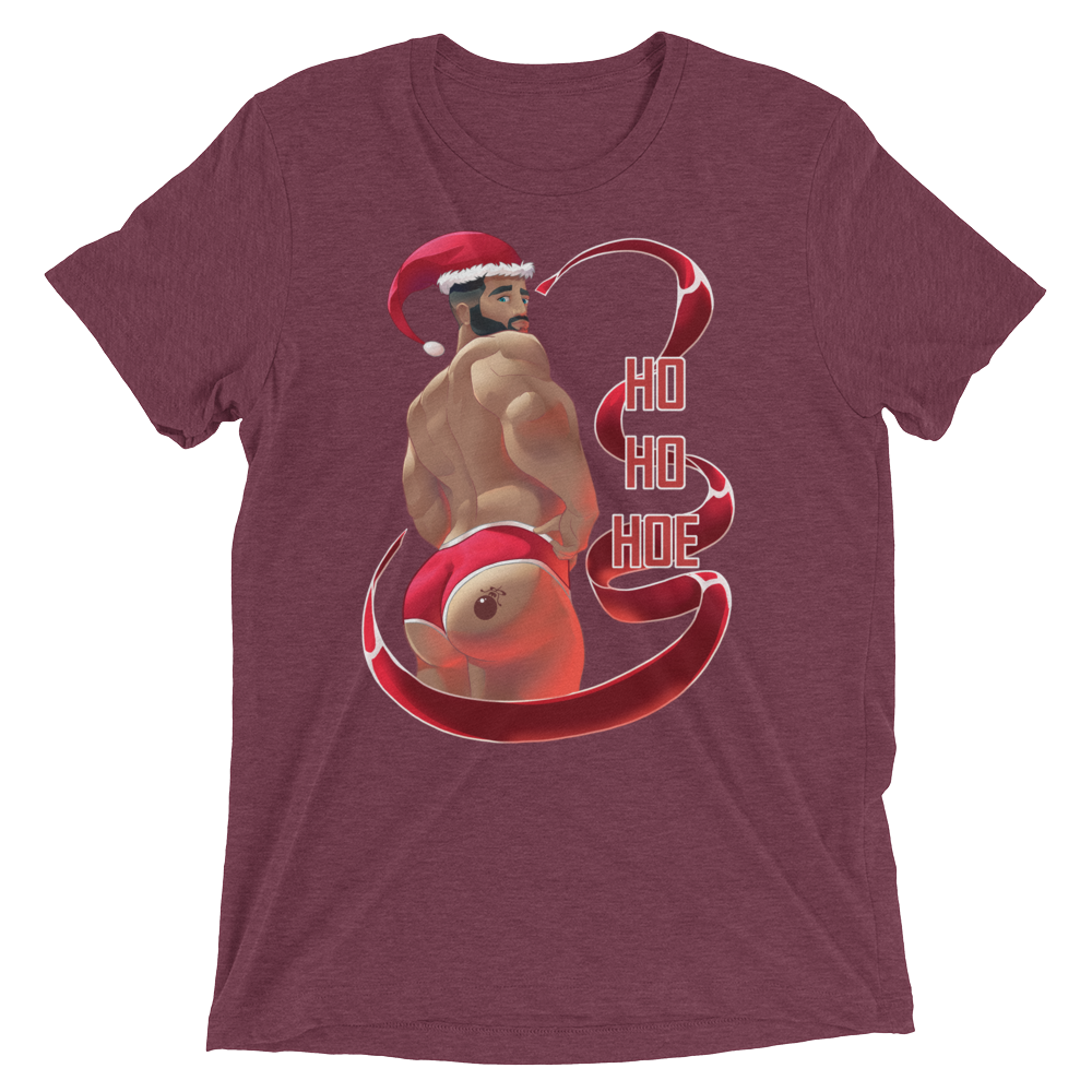 Ho Ho Hoe (Triblend)-Triblend T-Shirt-Swish Embassy