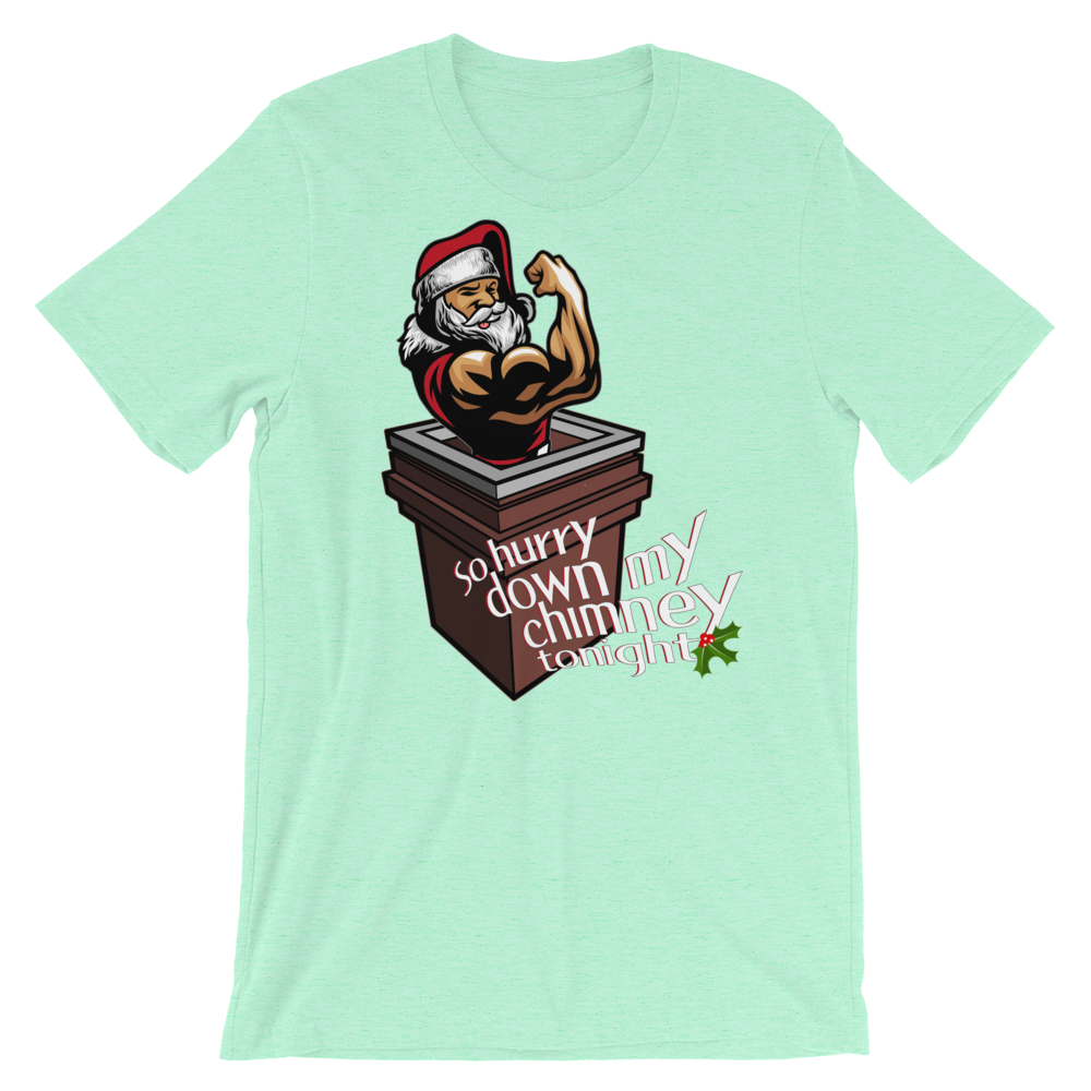 Hurry Down the Chimney-T-Shirts-Swish Embassy