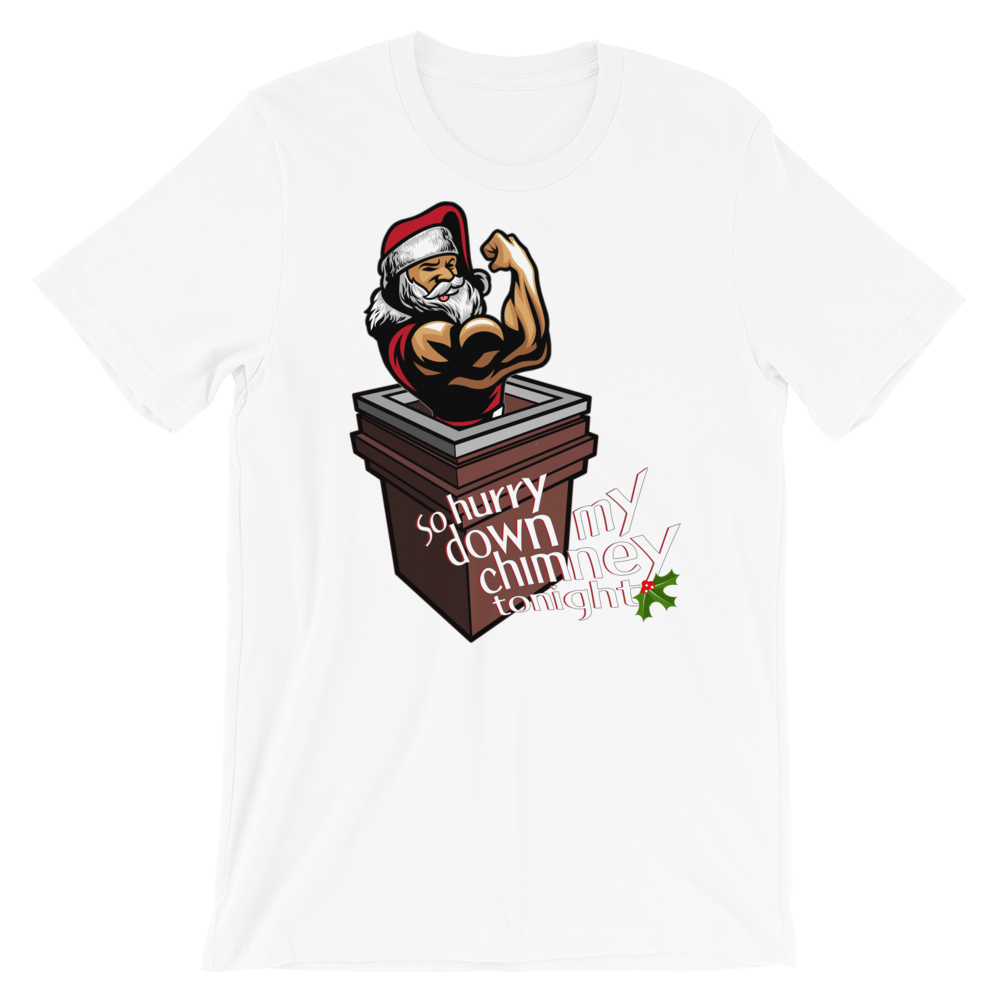 Hurry Down the Chimney-T-Shirts-Swish Embassy