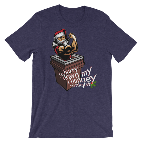 Hurry Down the Chimney-T-Shirts-Swish Embassy