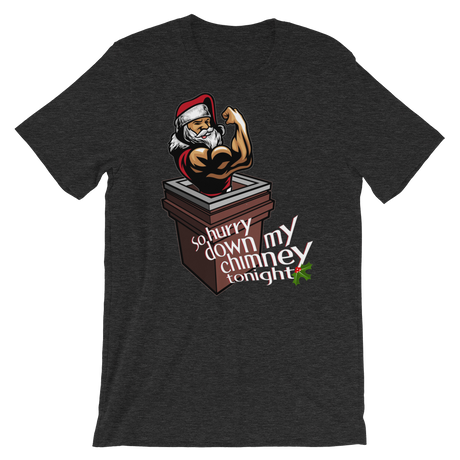 Hurry Down the Chimney-T-Shirts-Swish Embassy