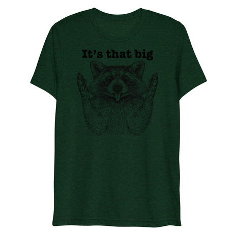 It's that big (Triblend)-Triblend T-Shirt-Swish Embassy