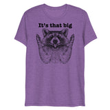 It's that big (Triblend)-Triblend T-Shirt-Swish Embassy