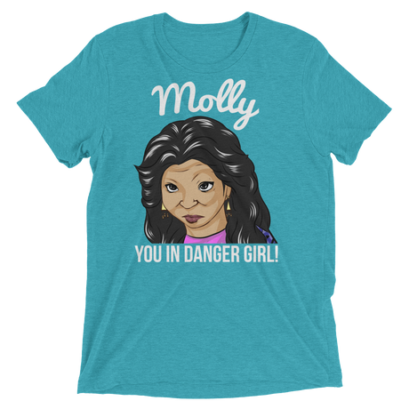 Molly You in Danger (Triblend)-Triblend T-Shirt-Swish Embassy