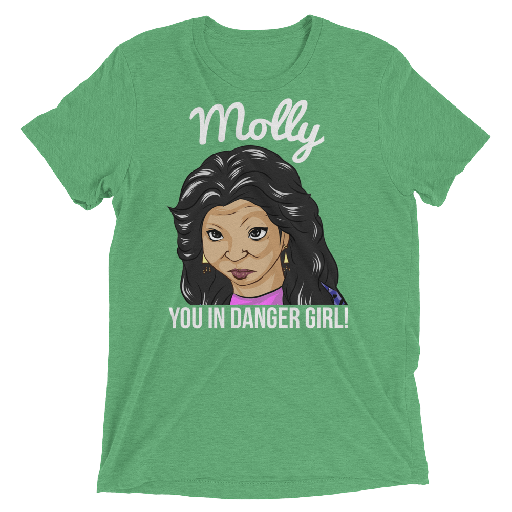 Molly You in Danger (Triblend)-Triblend T-Shirt-Swish Embassy