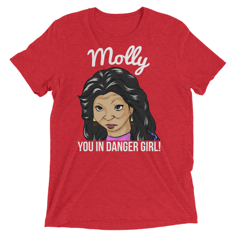 Molly You in Danger (Triblend)-Triblend T-Shirt-Swish Embassy