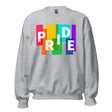 Pride Blocks (Sweatshirt)-Sweatshirt-Swish Embassy