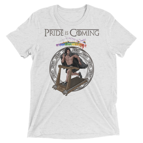 Pride is Coming (Triblend)-Triblend T-Shirt-Swish Embassy