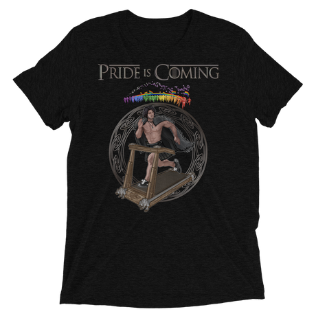 Pride is Coming (Triblend)-Triblend T-Shirt-Swish Embassy