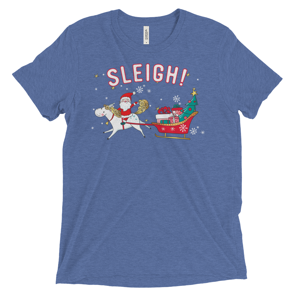 Sleigh! (Triblend)-Triblend T-Shirt-Swish Embassy