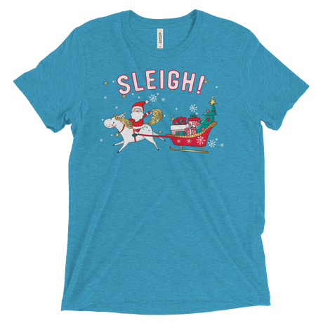 Sleigh! (Triblend)-Triblend T-Shirt-Swish Embassy