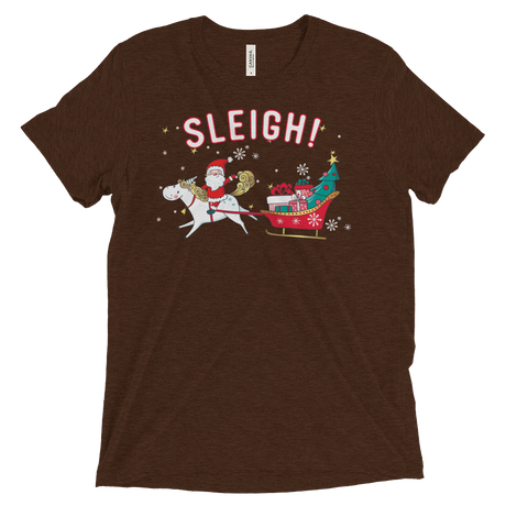 Sleigh! (Triblend)-Triblend T-Shirt-Swish Embassy