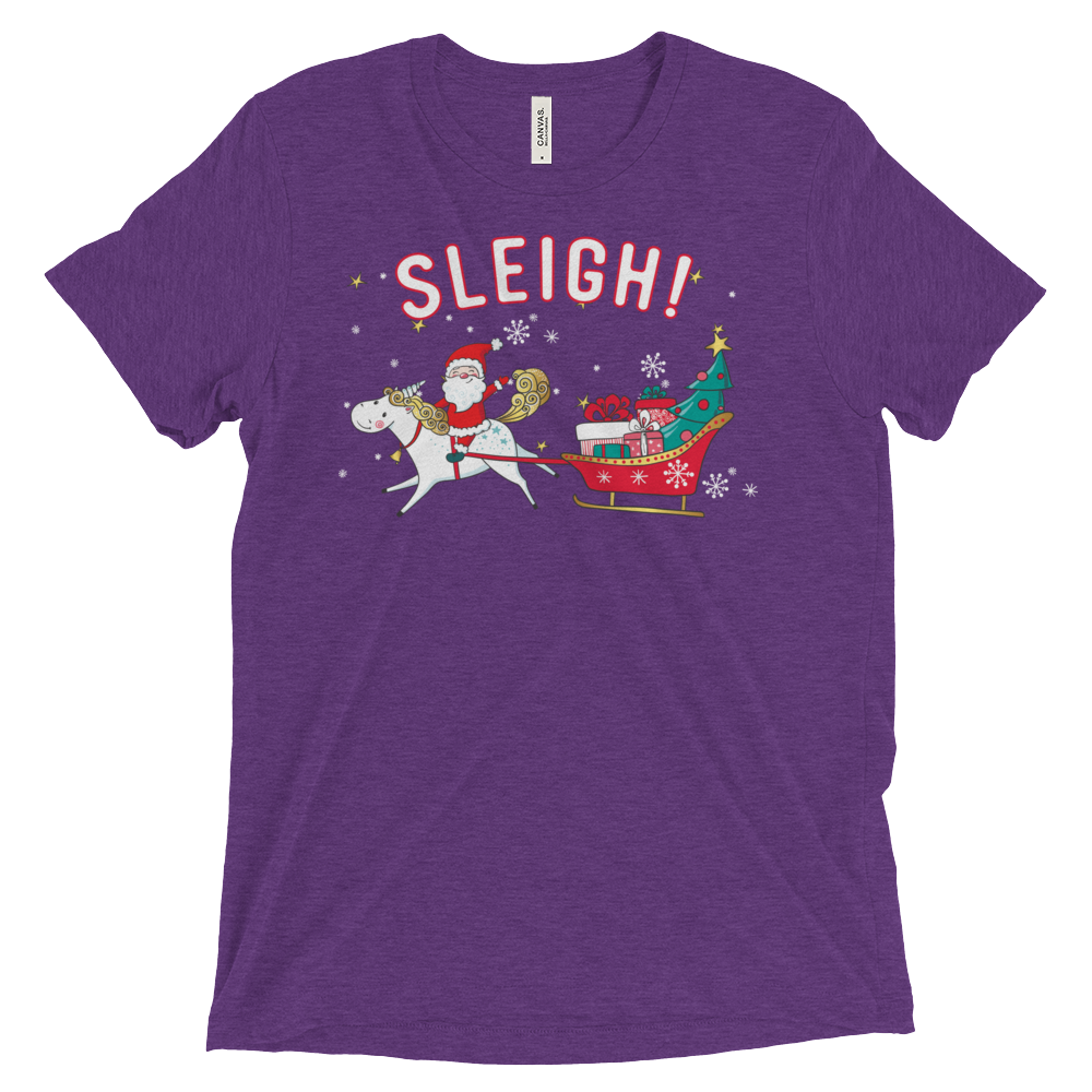 Sleigh! (Triblend)-Triblend T-Shirt-Swish Embassy