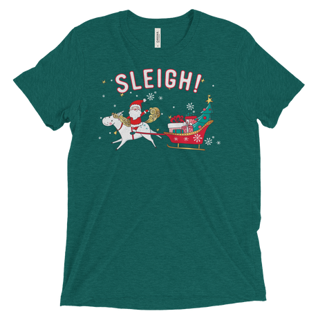 Sleigh! (Triblend)-Triblend T-Shirt-Swish Embassy