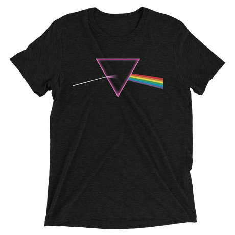 The Pride Prism (Triblend)-Triblend T-Shirt-Swish Embassy