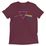 The Pride Prism (Triblend)-Triblend T-Shirt-Swish Embassy