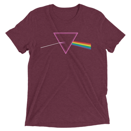 The Pride Prism (Triblend)-Triblend T-Shirt-Swish Embassy