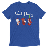 Well Hung Stockings (Triblend)-Triblend T-Shirt-Swish Embassy