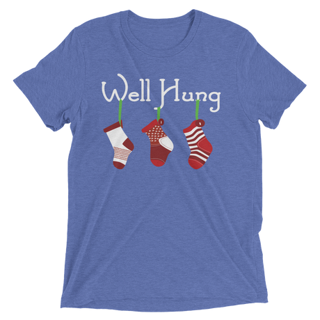 Well Hung Stockings (Triblend)-Triblend T-Shirt-Swish Embassy