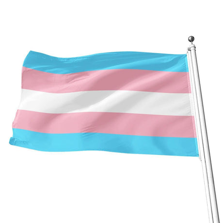 Transgender Pride (Flag)-Flag-Swish Embassy