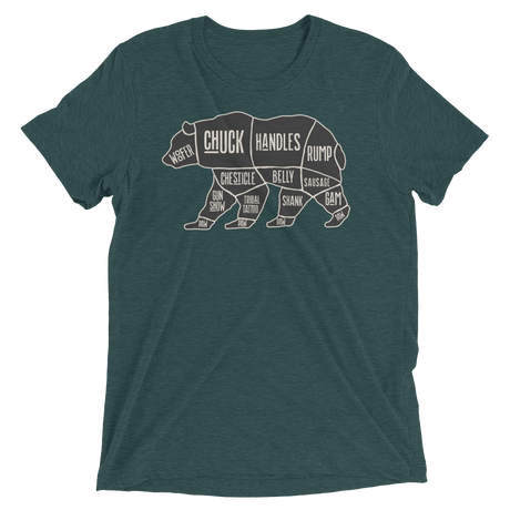 Bear's Anatomy (Retail Triblend)-Triblend T-Shirt-Swish Embassy