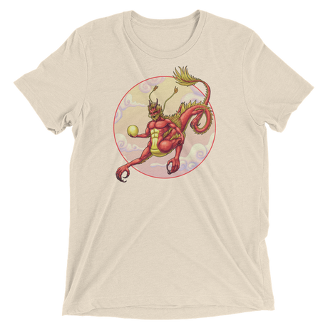 Centaur Dragon (Retail Triblend)-Triblend T-Shirt-Swish Embassy