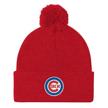 Chicago (Beanie)-Beanie-Swish Embassy