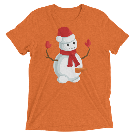 Do You Wanna Build A Snowman? (Retail Triblend)-Triblend T-Shirt-Swish Embassy