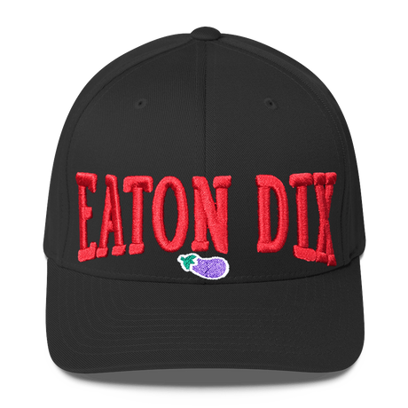 Eaton Dix (Baseball Cap)-Headwear-Swish Embassy