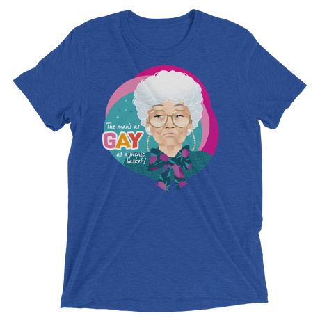 Gay as a Picnic Basket-Triblend T-Shirt-Swish Embassy