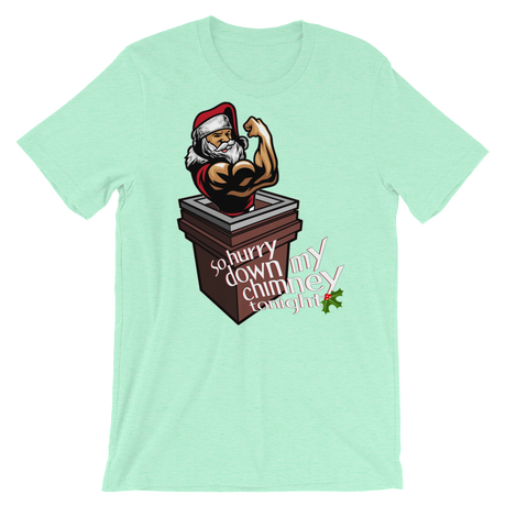 Hurry Down the Chimney-Christmas T-Shirts-Swish Embassy