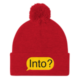 Into? (Beanie)-Beanie-Swish Embassy