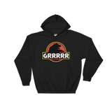 Jurassic Bear (Hoodie)-Hoodie-Swish Embassy