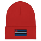 Leather Pride (Beanie)-Beanie-Swish Embassy