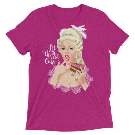 Let Them Eat Cake (Retail Triblend)-Triblend T-Shirt-Swish Embassy