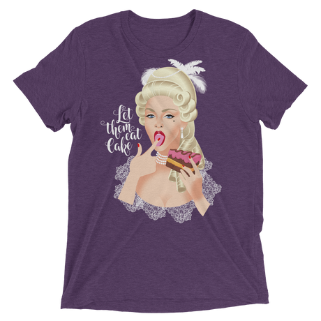 Let Them Eat Cake (Retail Triblend)-Triblend T-Shirt-Swish Embassy