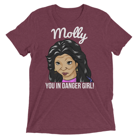 Molly You in Danger (Retail Triblend)-Triblend T-Shirt-Swish Embassy