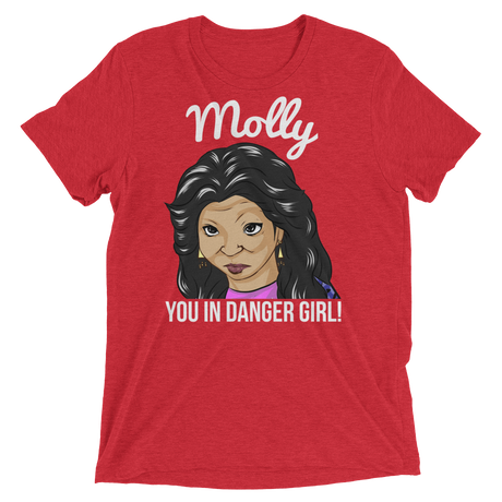 Molly You in Danger (Retail Triblend)-Triblend T-Shirt-Swish Embassy