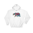 Paisley Bear (Hoodie)-Hoodie-Swish Embassy